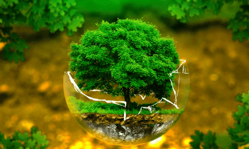 Những chiến lược bảo vệ môi trường đến năm 2030, và tầm nhìn đến năm 2050