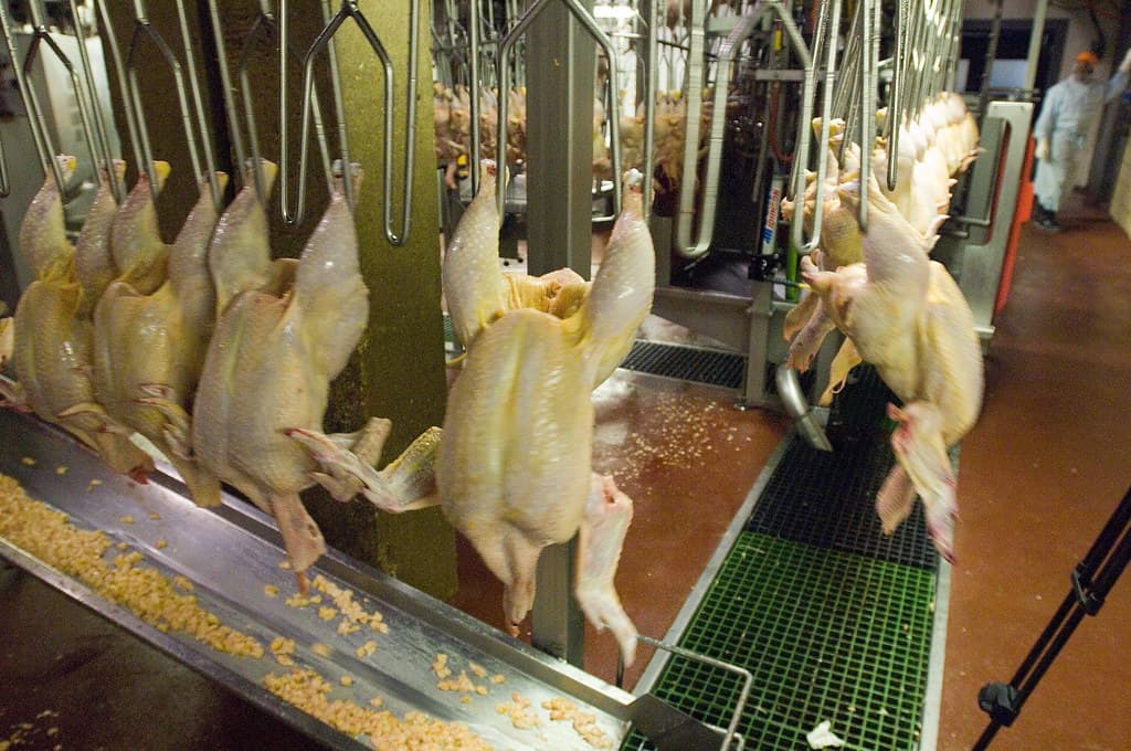 Xử lý nước thải thủy sản: đặc điểm và giải pháp hiệu quả