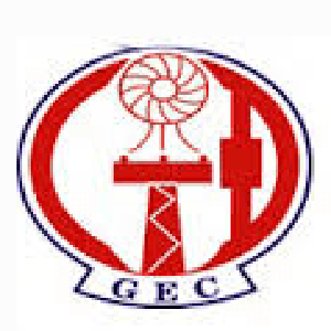 Logo Công ty cổ phần điện Gia Lai